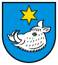 Wappen Gemeinde Safenwil Kanton Aargau Wappen Gemeinde Safenwil Kanton Aargau