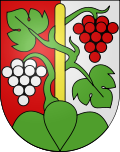 Wappen Gemeinde Oberhofen am Thunersee Kanton Bern