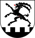 Wappen Gemeinde Bregaglia Kanton Graubünden