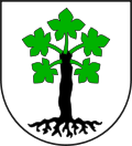 Wappen Gemeinde Trun Kanton Graubünden Wappen Gemeinde Trun Kanton Graubünden