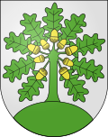 Wappen Gemeinde Montanaire Kanton Waadt